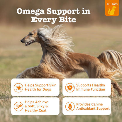 Zesty Paws Omega Bites chicken flavor soft chews container displaying product benefits for pet joint health.