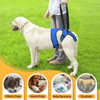 Comfortable lifting harness for large dogs post-surgery recovery