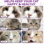 Natural pet vitamin formula for cat eye and coat health