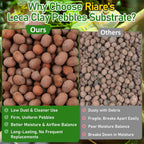 Riare lightweight clay pellets showing size scale