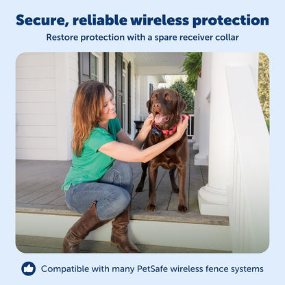 Wireless pet containment system receiver with five correction levels