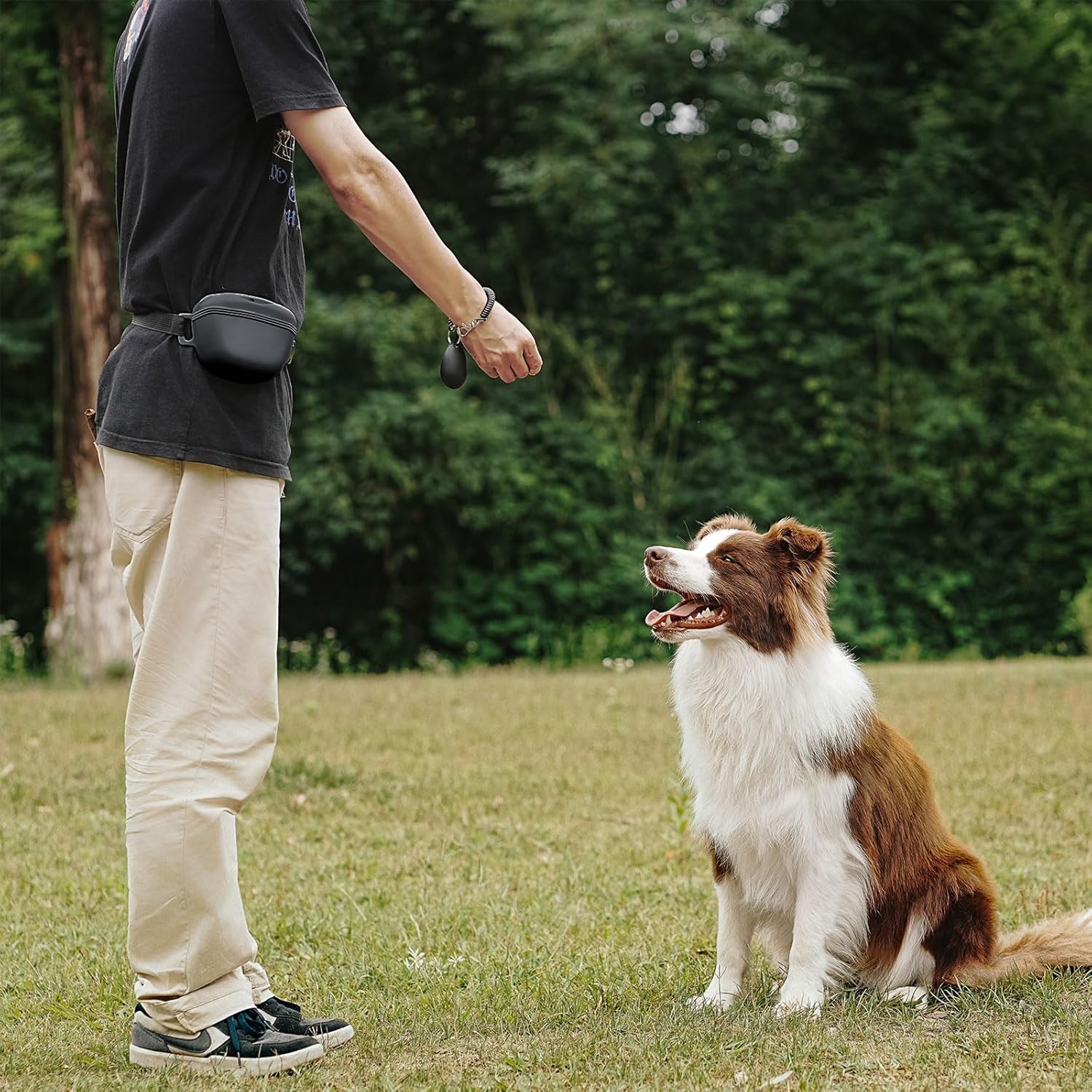 Complete puppy obedience training kit with silicone pouch and responsive clicker