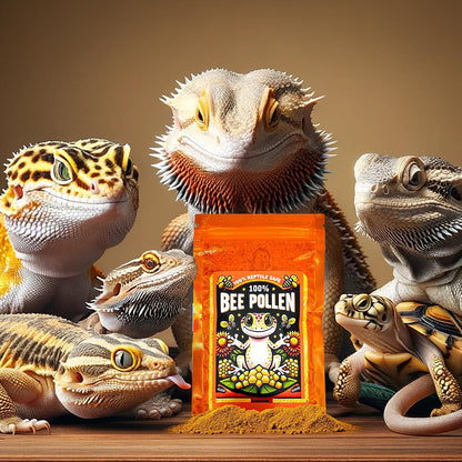 Natural bee pollen supplement for isopods and insects