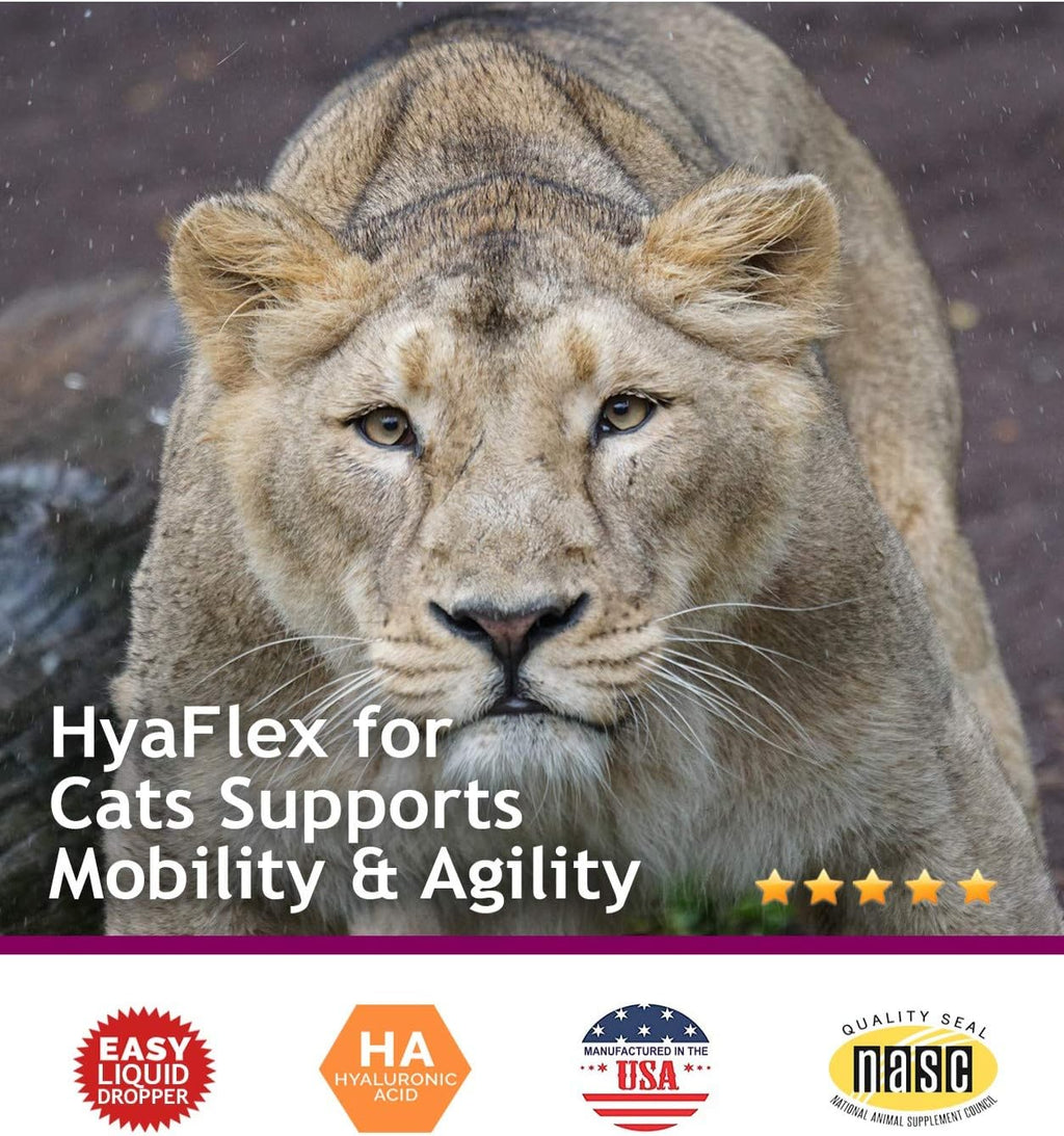Hyalogic HyaFlex cat joint support complete packaging