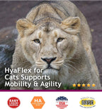 Hyalogic HyaFlex cat joint support complete packaging