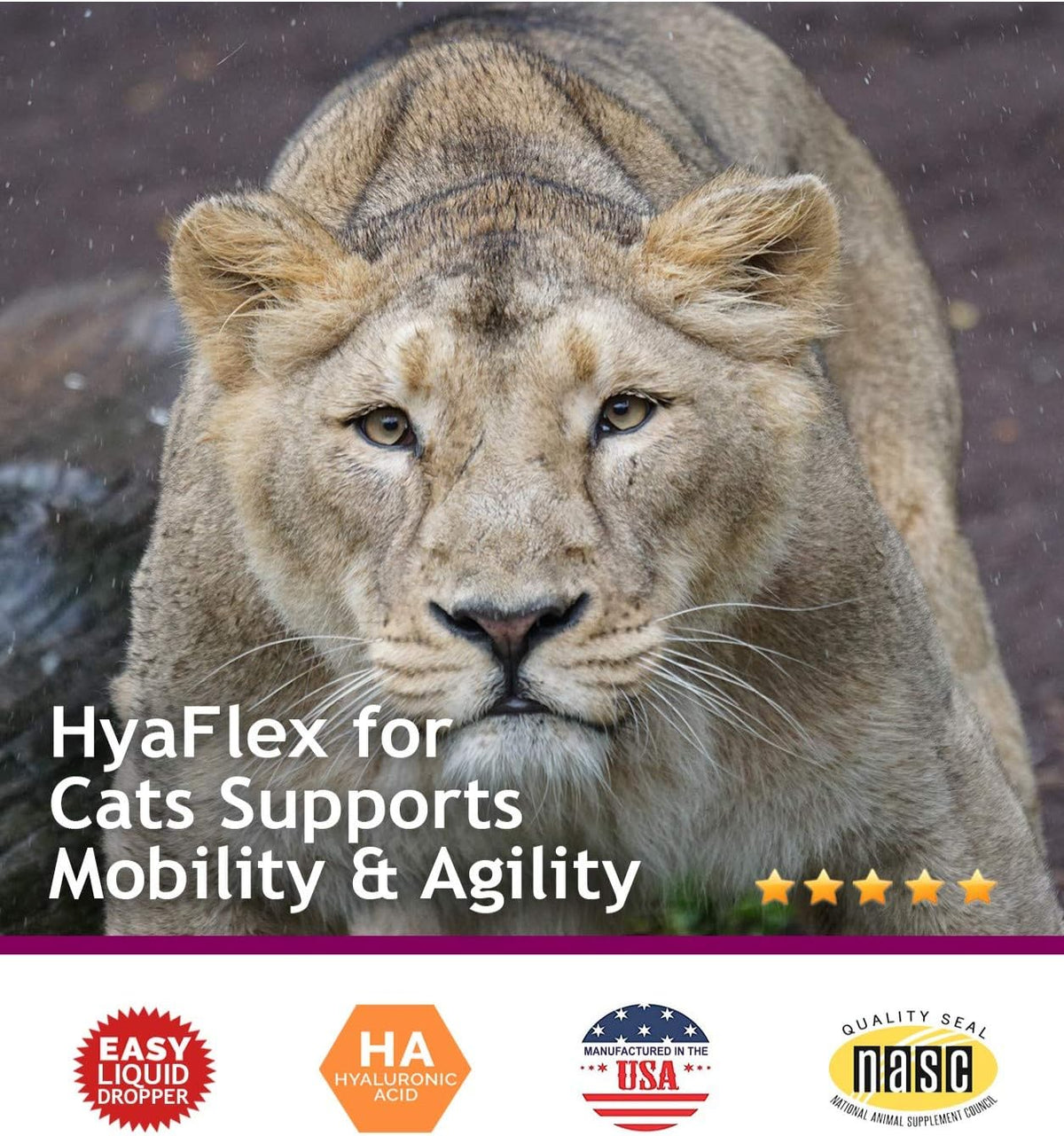 Hyalogic HyaFlex cat joint support complete packaging