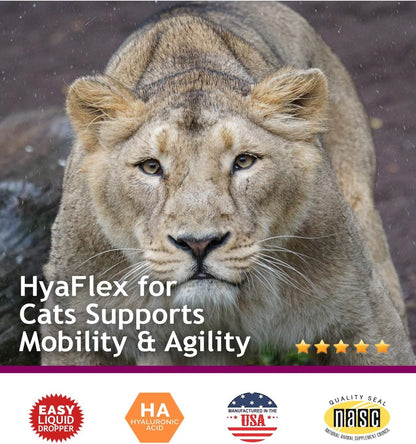 Hyalogic HyaFlex premium joint support supplement for pets