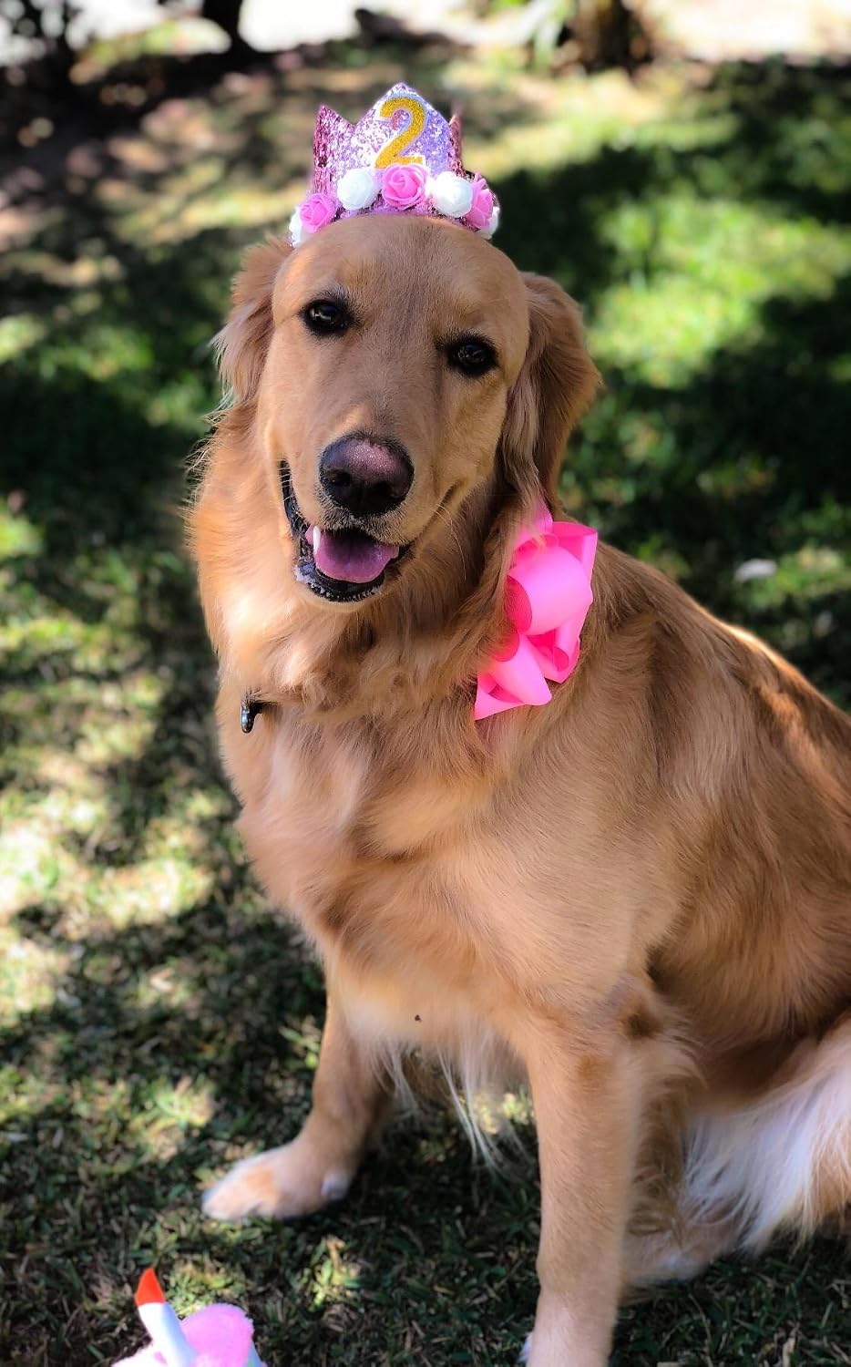 Pet wearing pink floral birthday crown headband