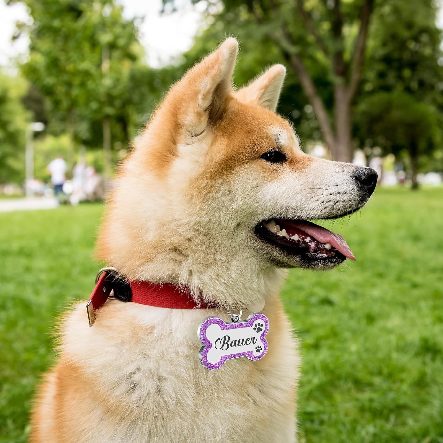 EDSG minimalist pink glitter bone shape personalized collar accessory for small dogs