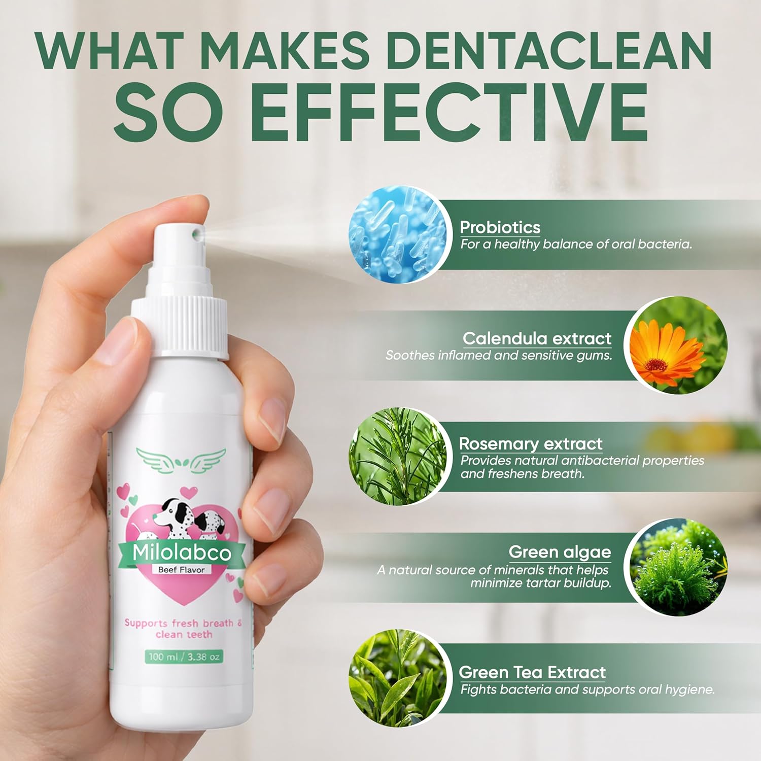 No-brush dog teeth cleaning spray bottle packaging detail