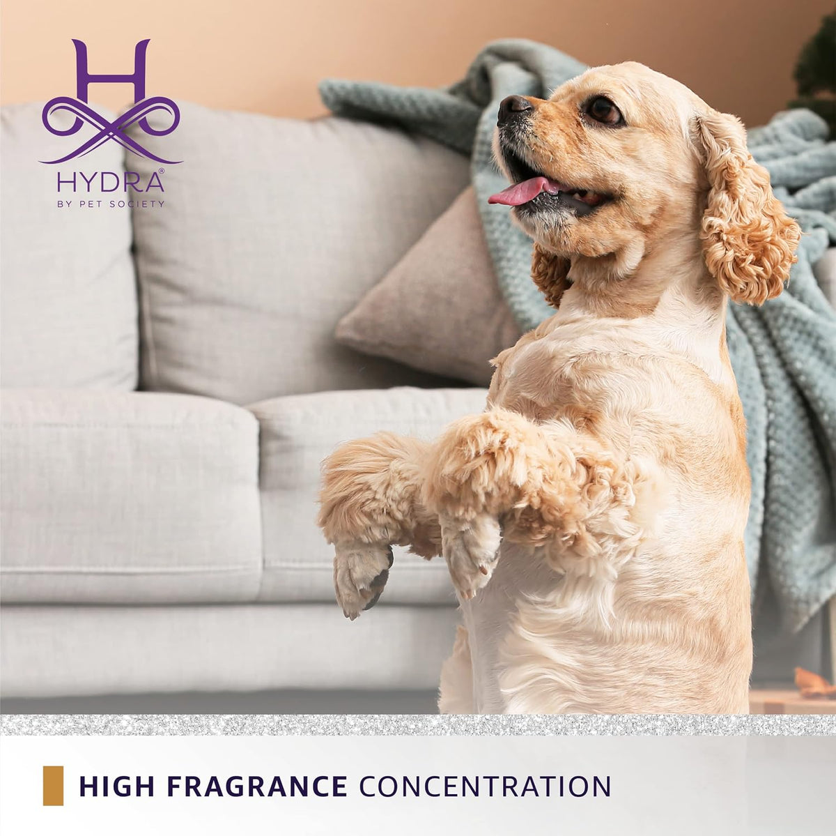Fruity floral scented luxury dog perfume imported by Rudra Retails.