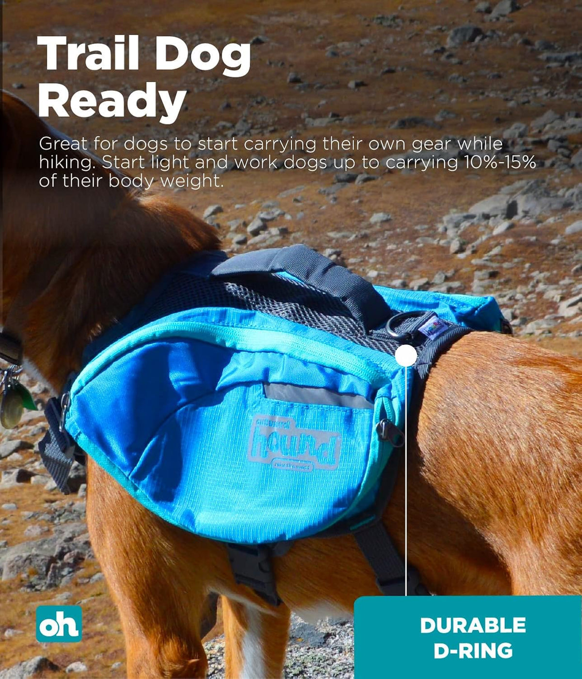 Heavy duty D ring leash attachment on top of a blue dog saddlebag.