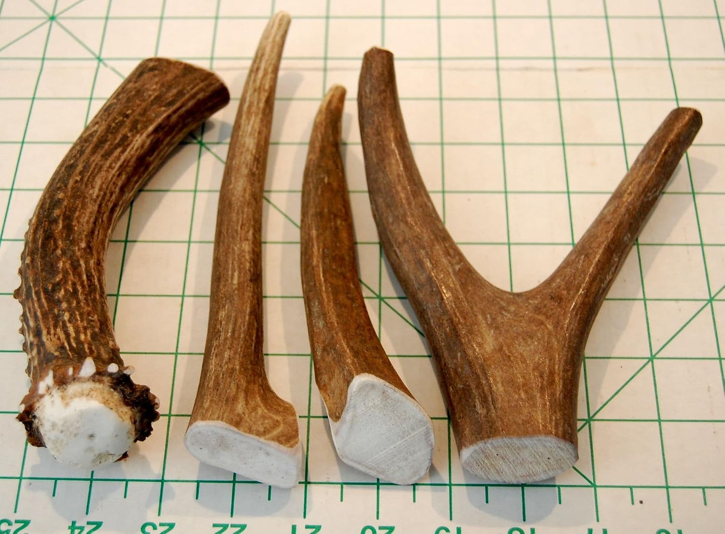 One pound bag of Big Dog Antler Chews natural wild sourced mess free indoor pet treats
