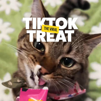 Cat enjoying Bonkers Licky Tubes handheld treat