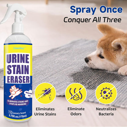 Enzymatic urine destroyer spray being applied to dog accident stains on home upholstery