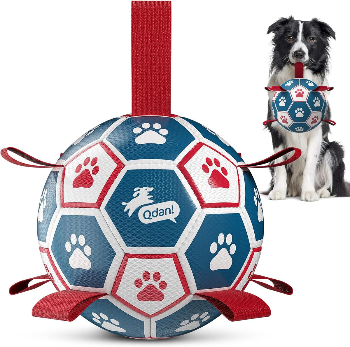 QDAN interactive dog soccer ball with red and blue panels