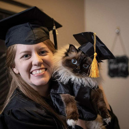 Small dog wearing GraduatePro black academic gown and hat