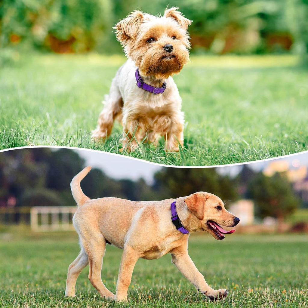 Penseepet purple collar soft neoprene padding detail