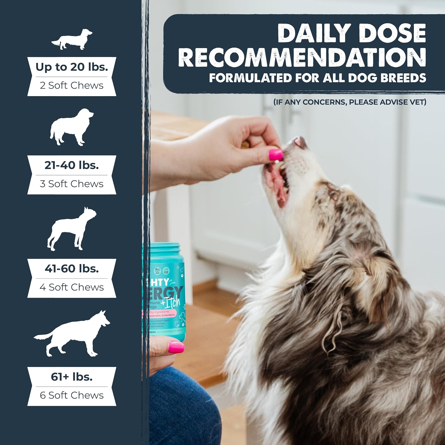 Vet formulated dog immune system support chewable treats