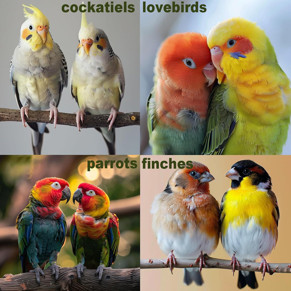 Bird Toys for Parakeets 7Pcs, Wood Parrots Budgie Cage Accessories - Image 7