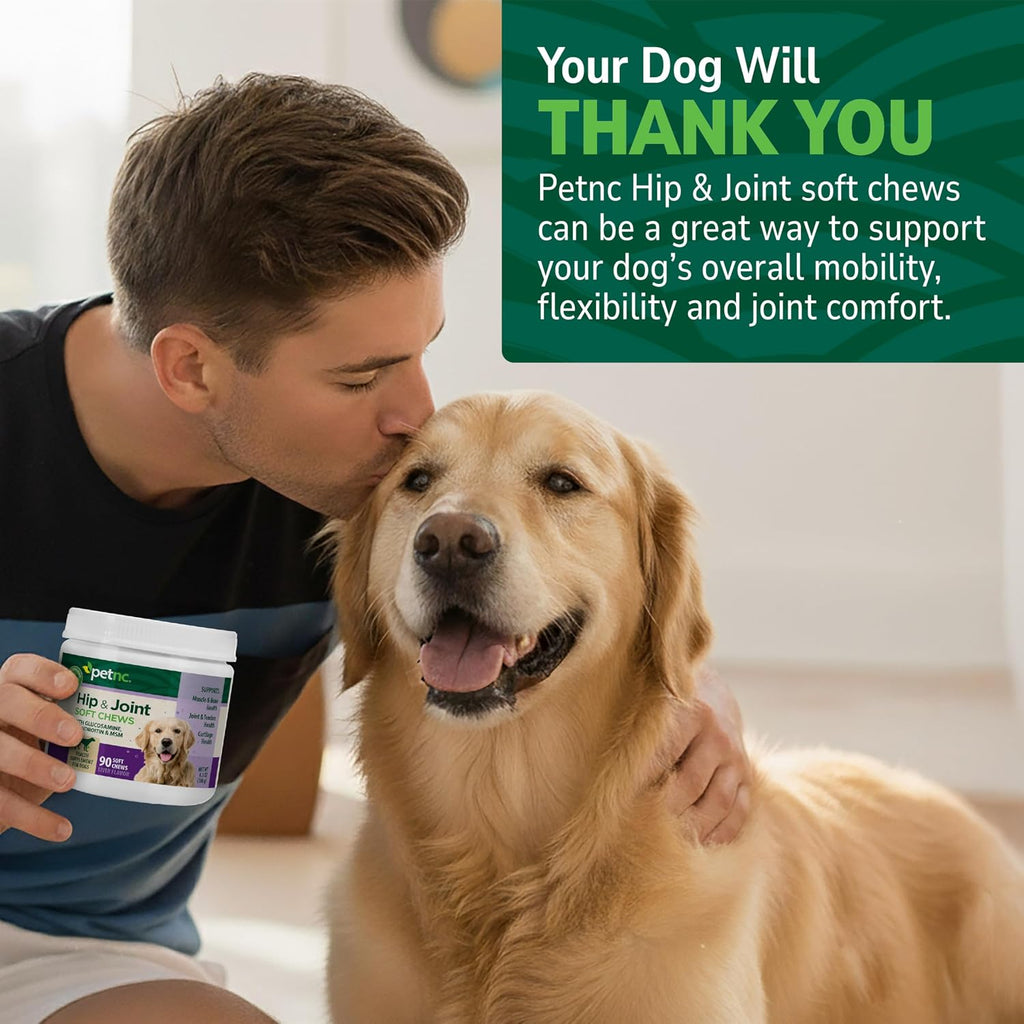Veterinarian formulated dog hip and joint soft chews close up