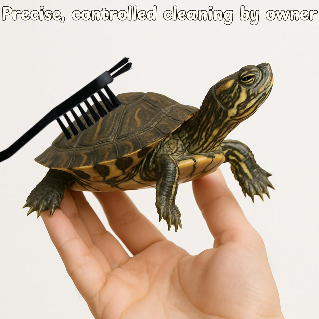 Homedy Crafts turtle enrichment toys and cleaning station dimensions graphic