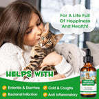 Liquid antibiotic for cats being added to pet food
