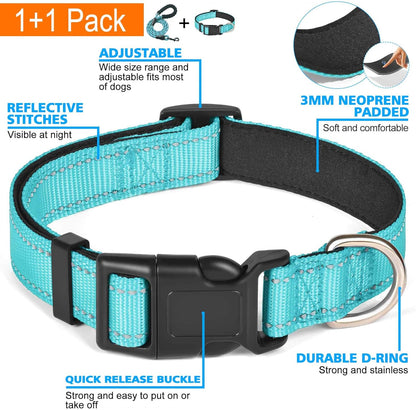 Reflective thread visibility on Ladoogo blue dog collar