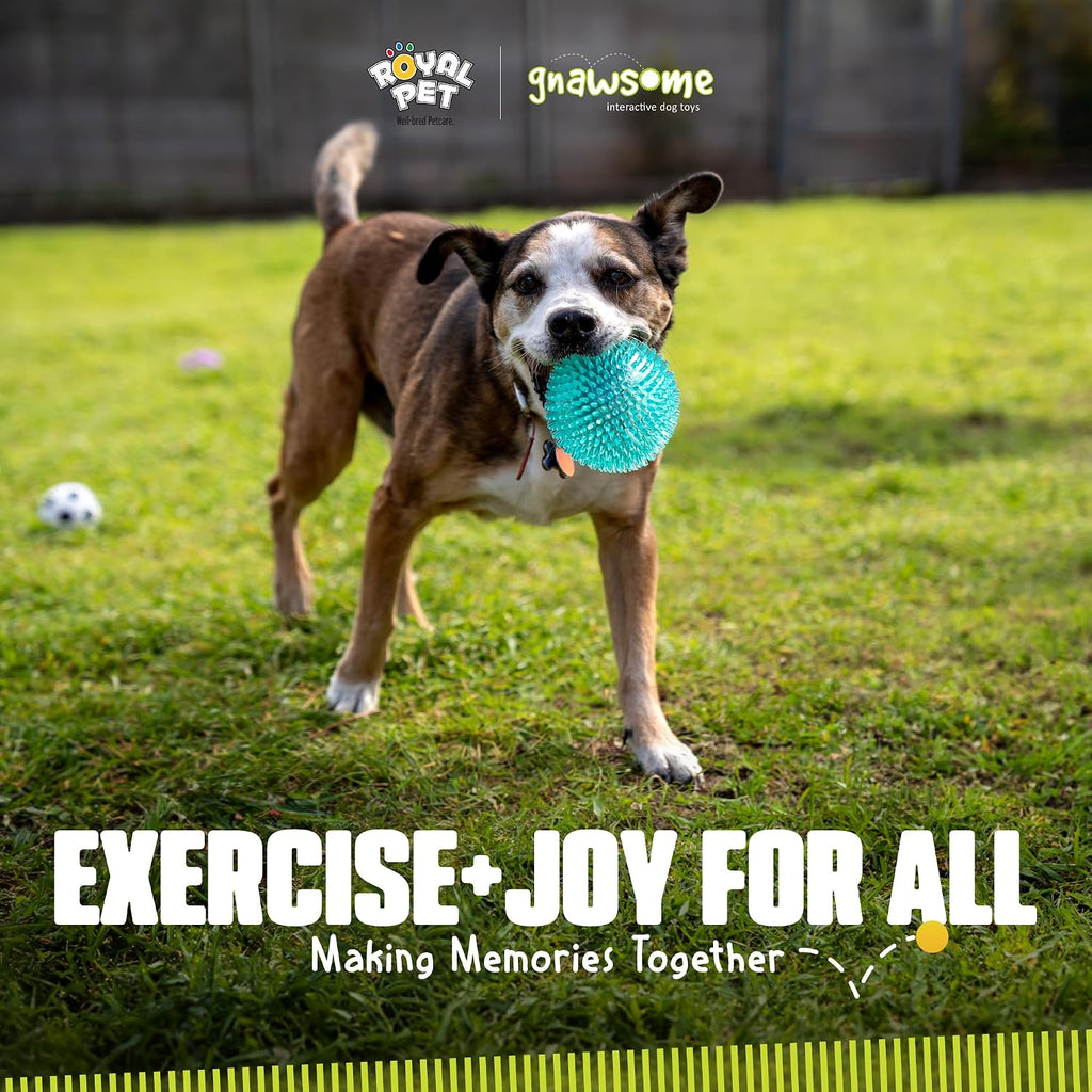 Packaging details for authentic Gnawsome dog toy