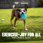 Packaging details for authentic Gnawsome dog toy