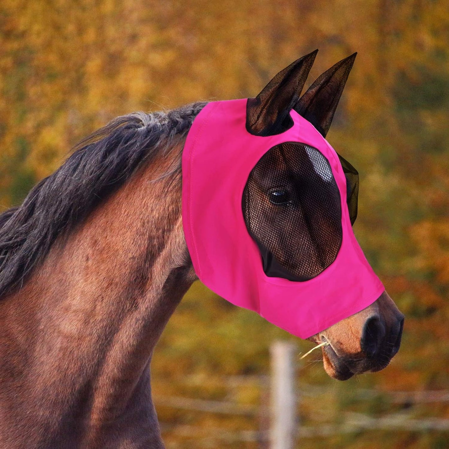 Demonstration of easy slide on design for Weewooday fly mask