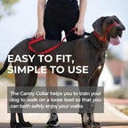 Canny gentle no pull head collar showing pressure and release mechanism components