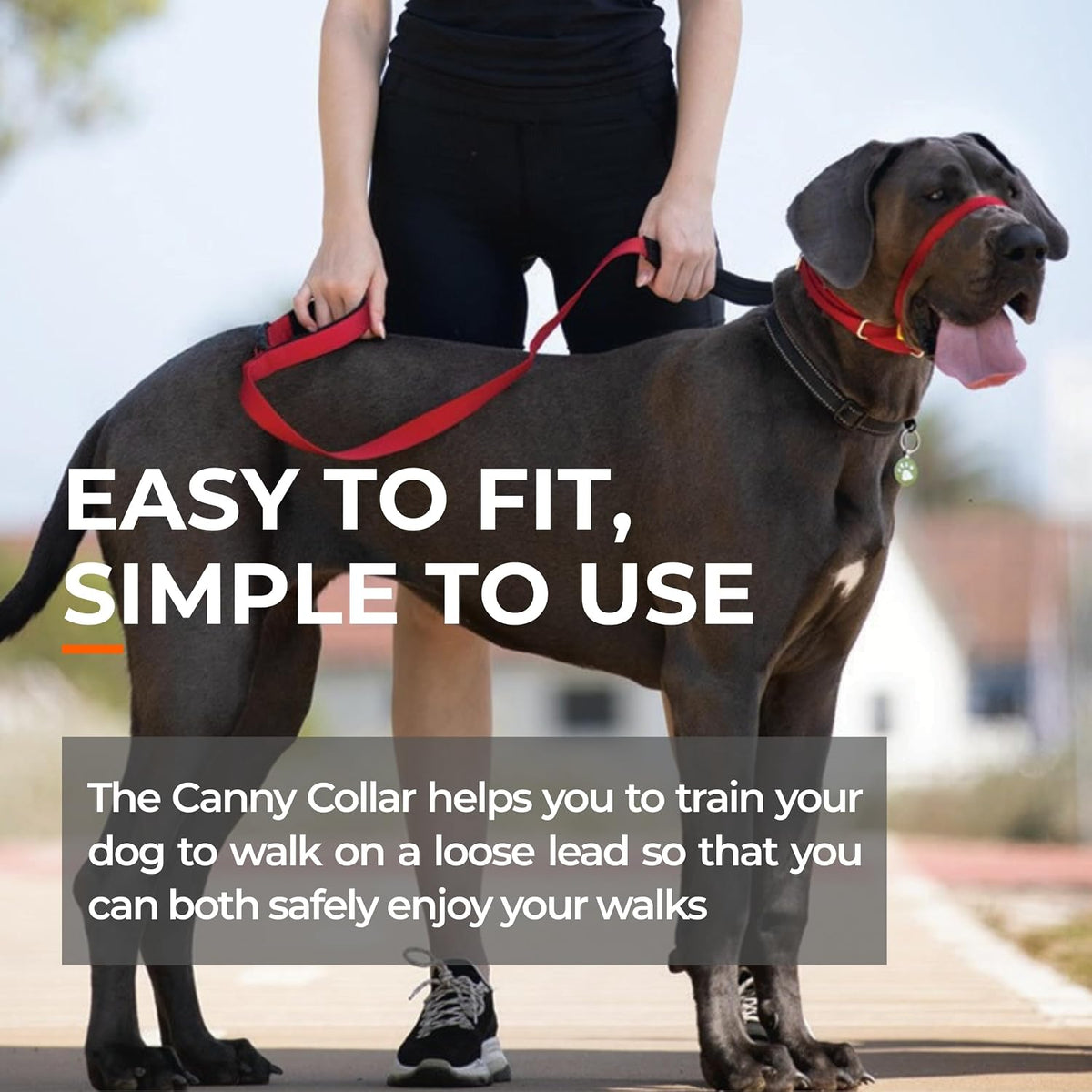 Canny gentle no pull head collar showing pressure and release mechanism components