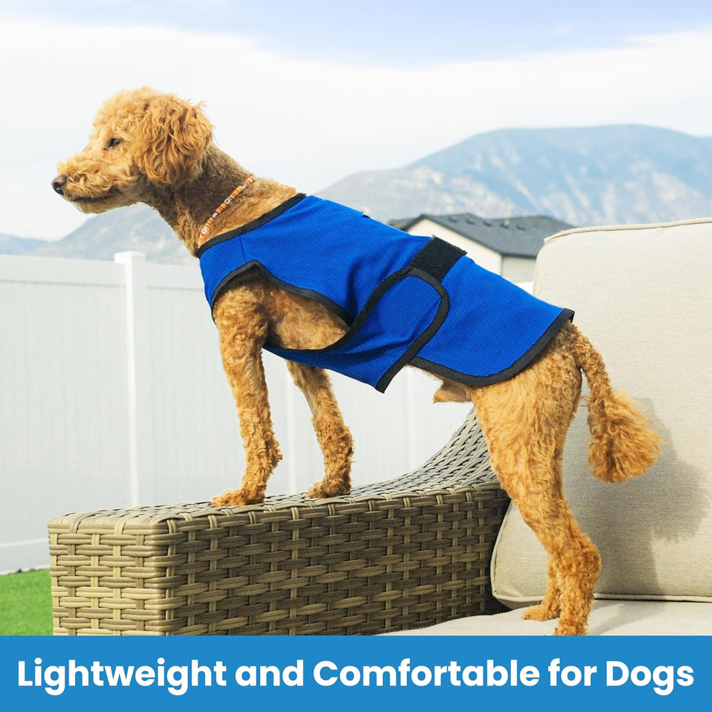 Dog wearing blue lightweight evaporative cooling shirt