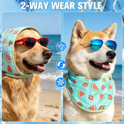 Two pack set of Expawlorer cooling bandanas for summer