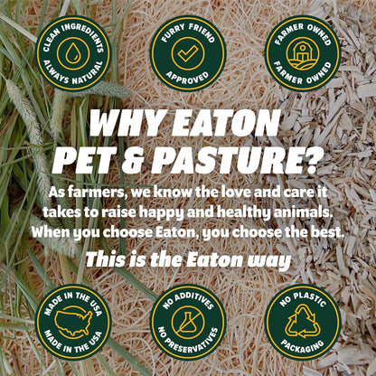 Small animal cage filled with Eaton hemp bedding