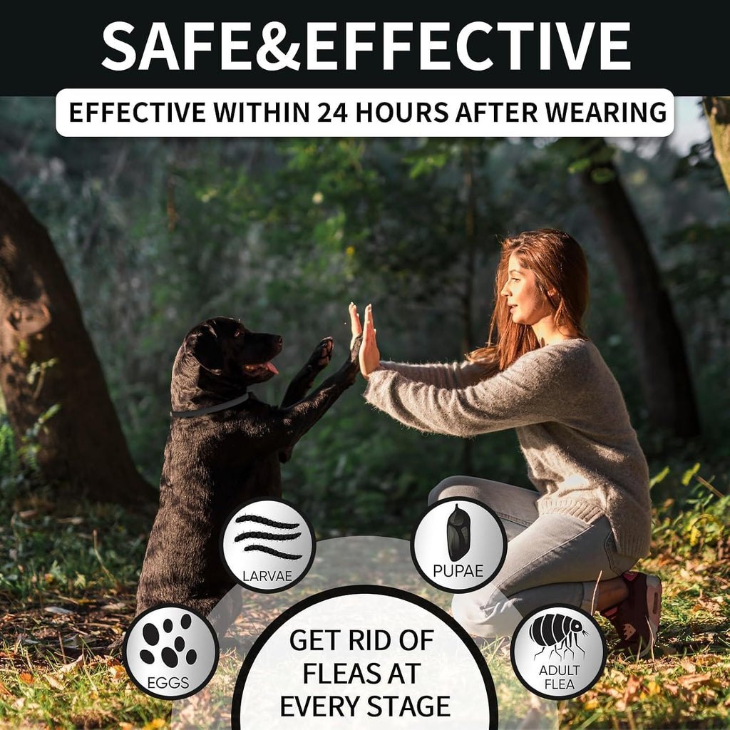 Long lasting flea and tick prevention for large breeds