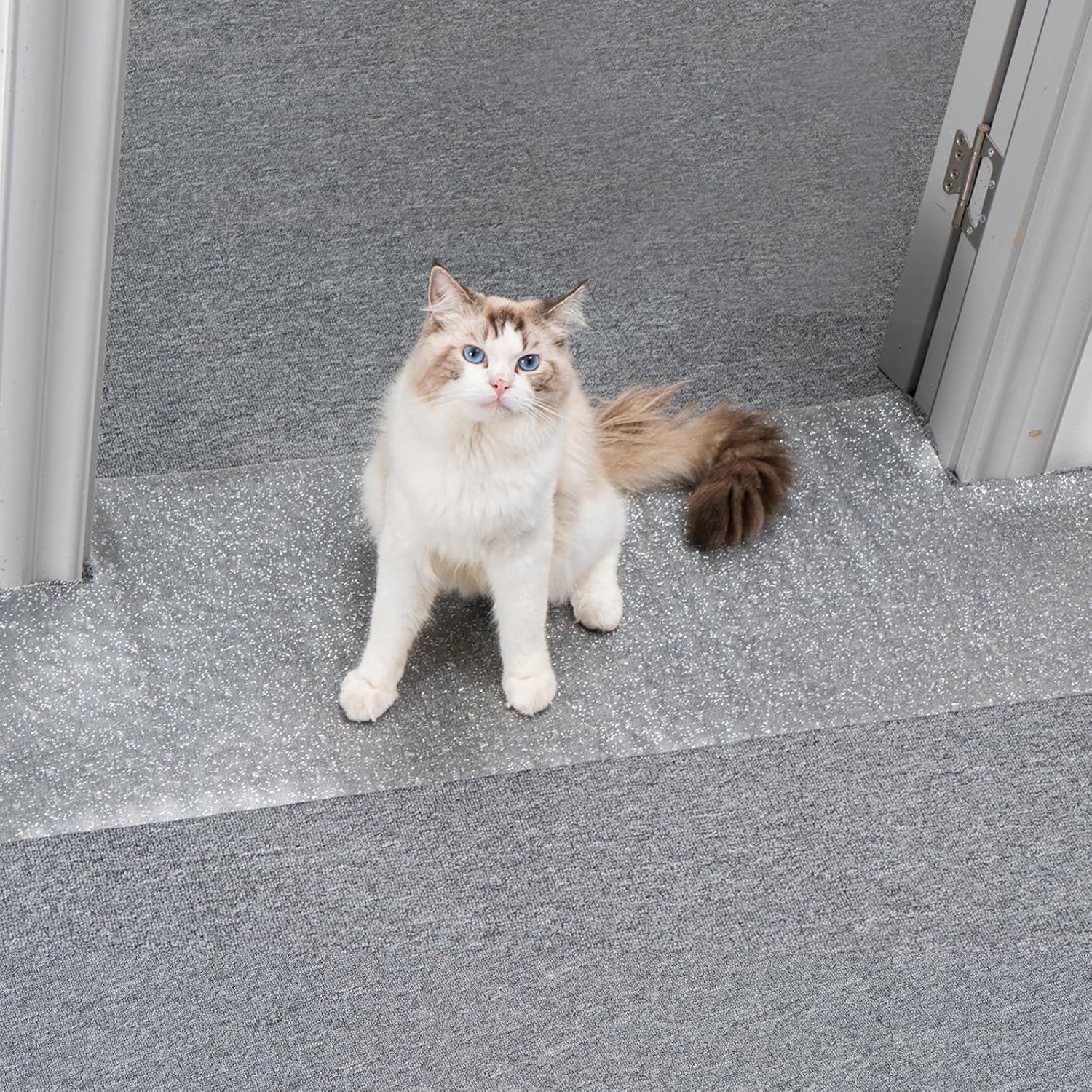 Uross Carpet Protector for Pets - Cat Carpet Protector for Doorway, Anti Scratch Under Door Cat Scratch Protector Mat, Easy to Cut Plastic Carpet Scratch Stopper Guard 3.6FT x 3PCS - Image 15