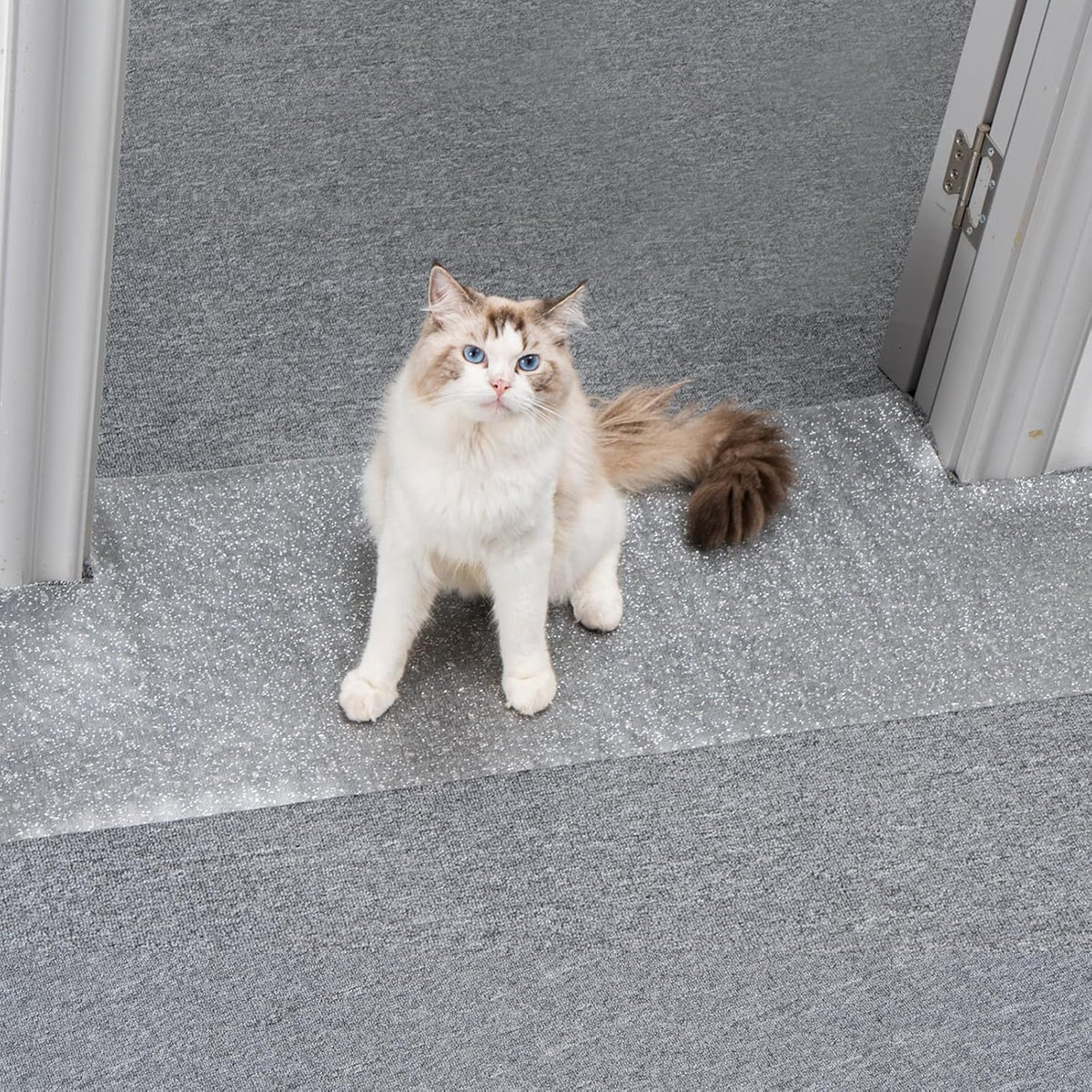 Uross Carpet Protector for Pets - Cat Carpet Protector for Doorway, Anti Scratch Under Door Cat Scratch Protector Mat, Easy to Cut Plastic Carpet Scratch Stopper Guard 3.6FT x 3PCS - Image 15