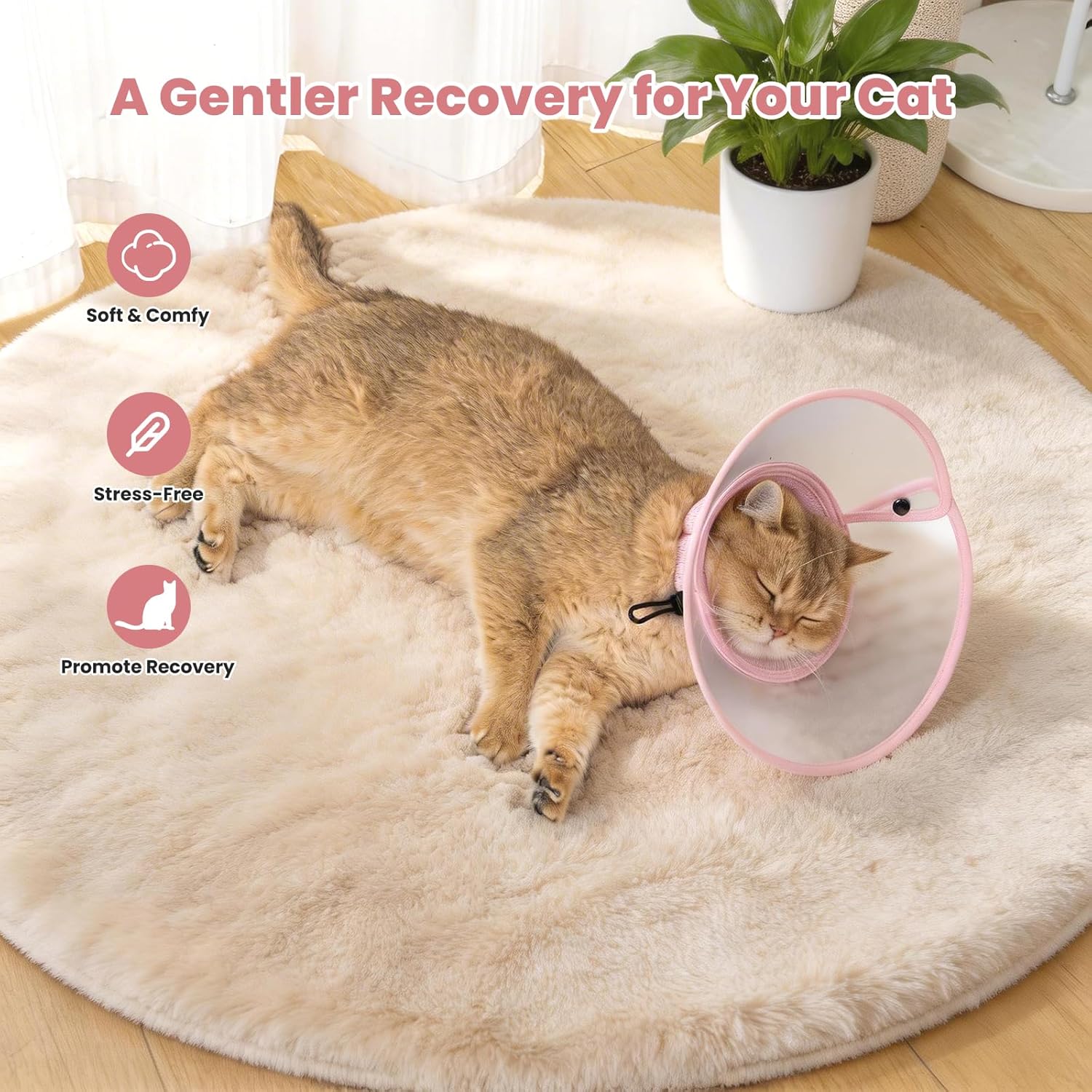 Anti lick clear cat E collar with soft breathable pink mesh neckband