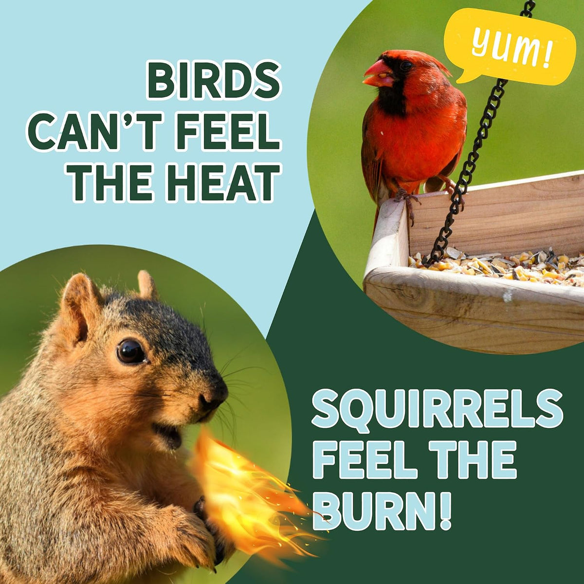 Back view of Uncle Dunkels squirrel repellent showing safety instructions