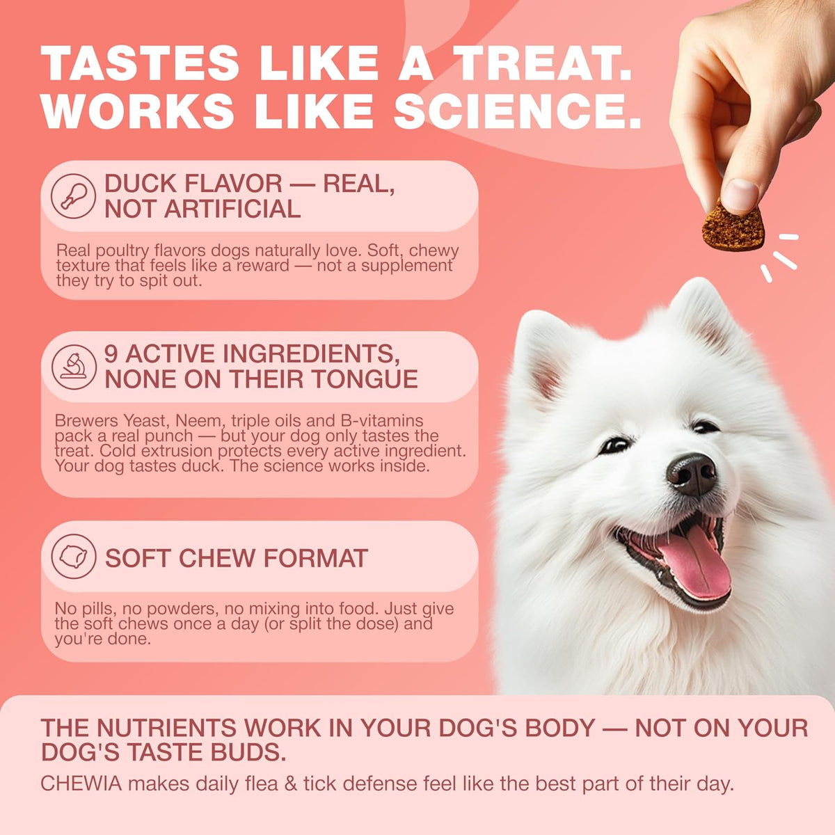 Chewia omega rich salmon oil and brewers yeast dog treats