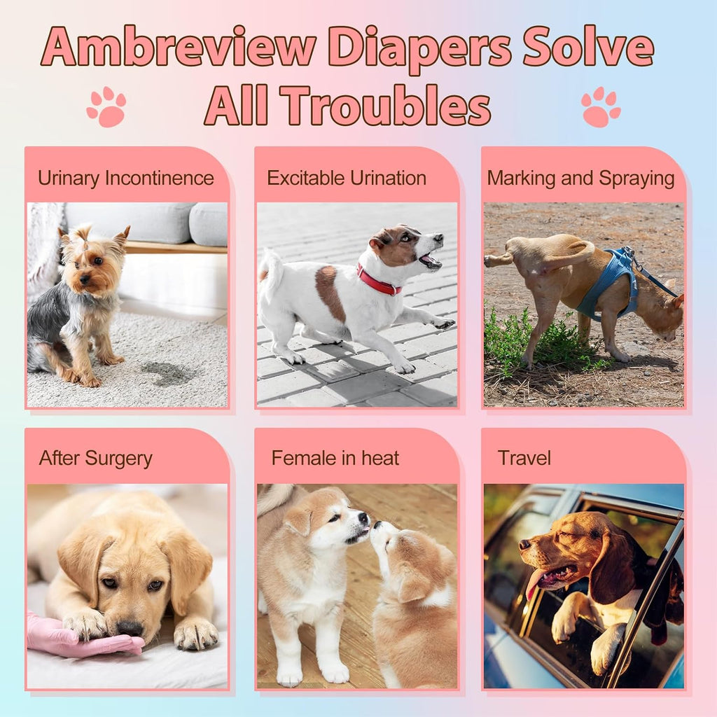 Ambreview protective doggy nappies for elderly incontinent pets laid flat on white surface