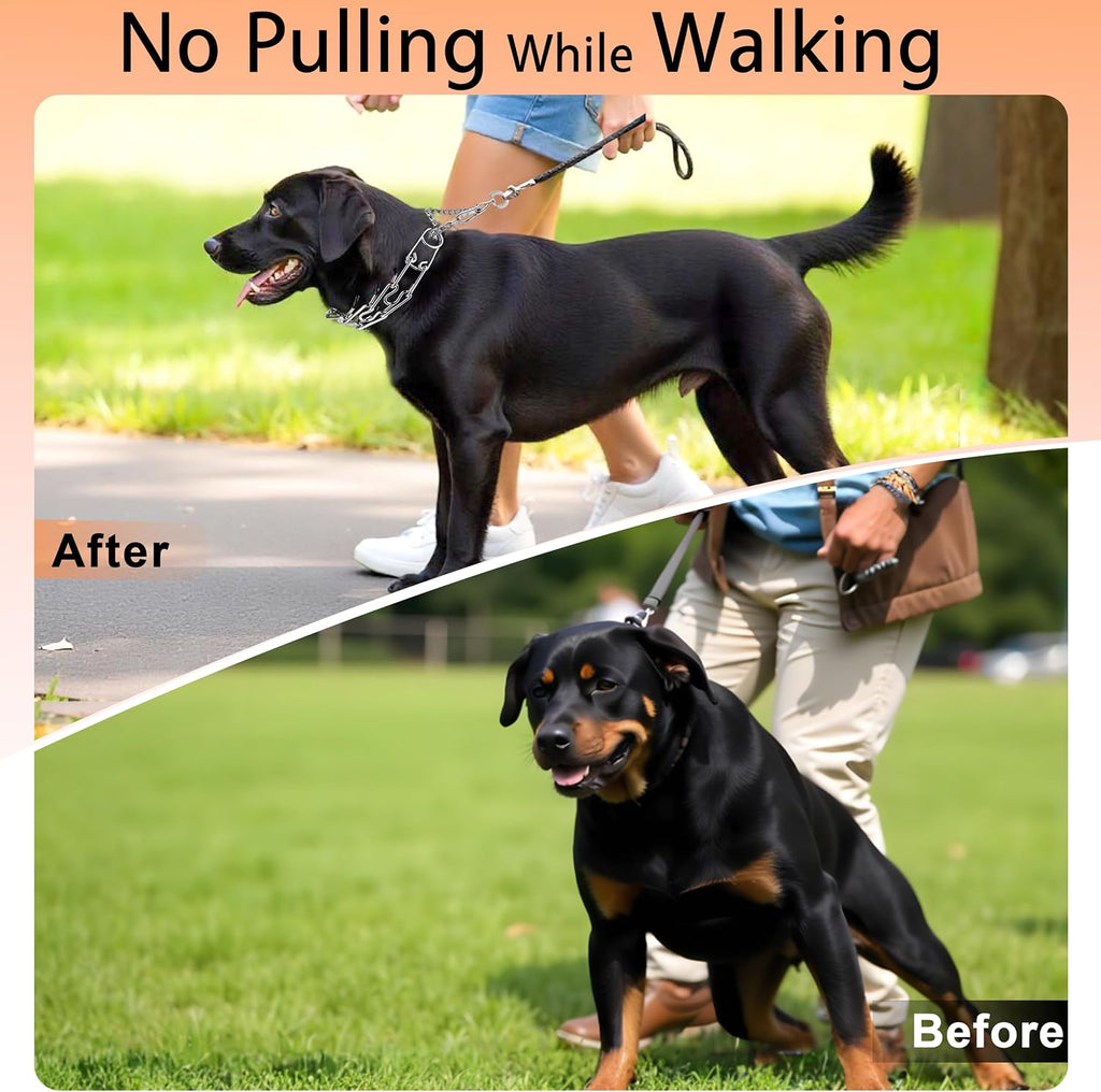 Premium stainless steel dog behavior training collar packaging details with extra links