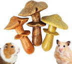 Authentic TEEWY imported pet toys set showcasing mushrooms and grass patch.