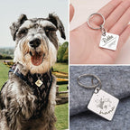 Authentic USA imported Anavia diamond shape cat safety identity charm.