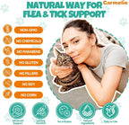 Carmelie chicken flavored cat supplement mixture close up with dropper