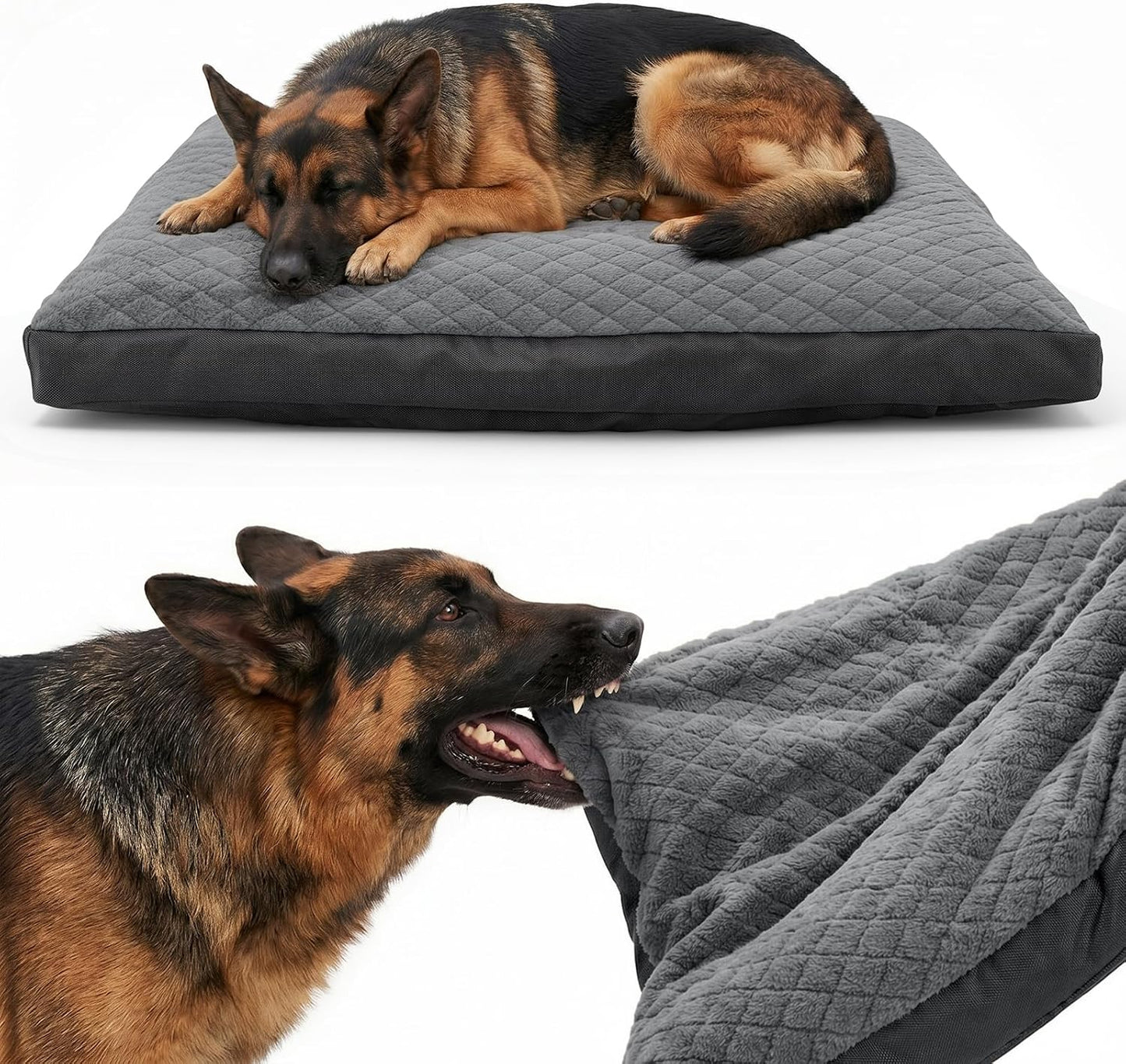 Wuslkdoghqog Gasur indestructible chew proof dog bed front view