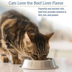 Rx Vitamins feline immune support multimineral powder jar on a clean background.