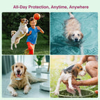 Dog wearing Allyeah 8 month protection flea collar